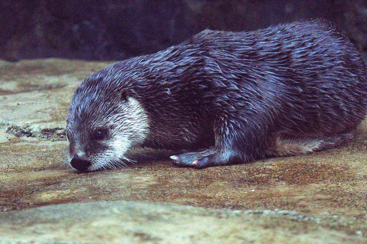 Florida Aquarium - Gallery Image 4